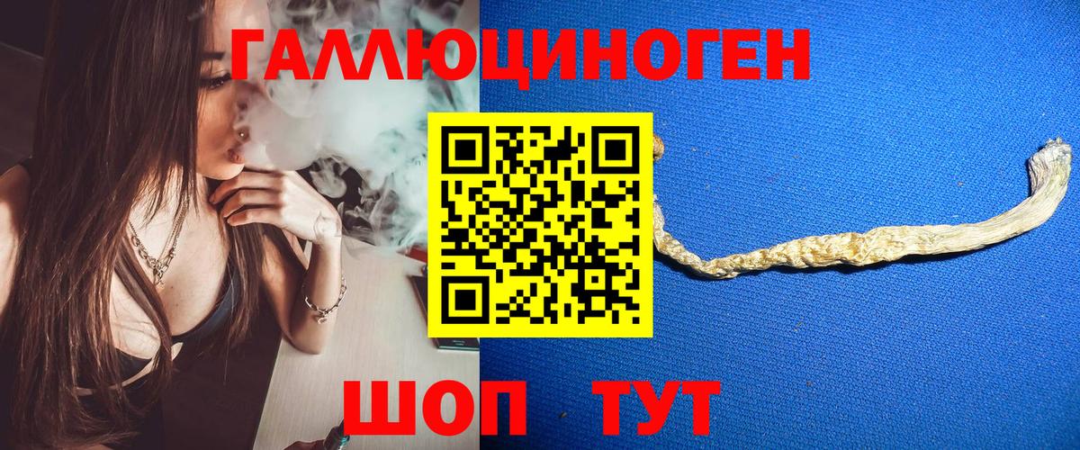 Киреевск  Псилоцибиновые грибы GOLDEN TEACHER  Вход с VPN 